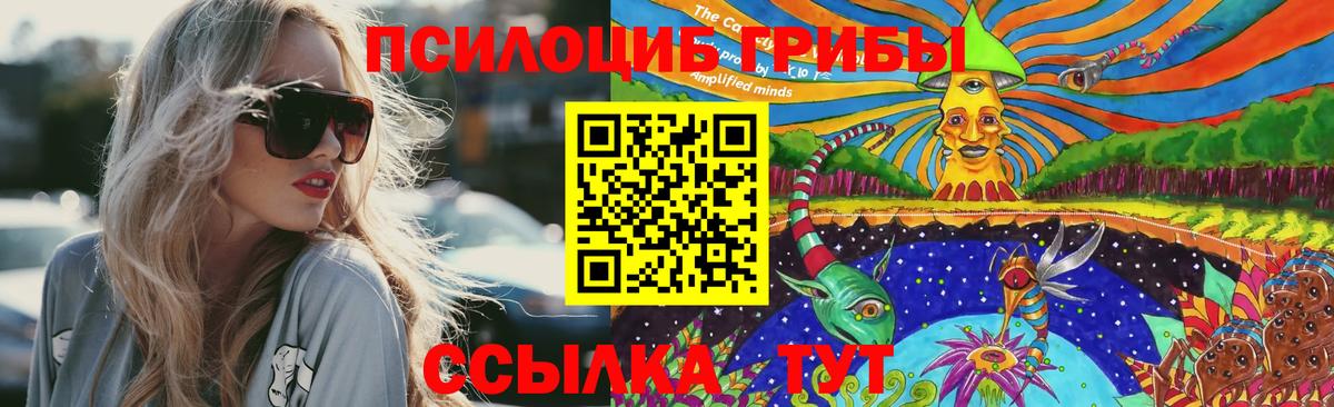 Великий Устюг  Псилоцибиновые грибы Cubensis  Вход с VPN  Галлюциногенные грибы GOLDEN TEACHER 